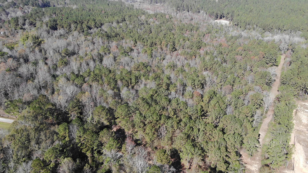 ± 14 Acres Jones County, MS Listing ID JO14 Walley Properties