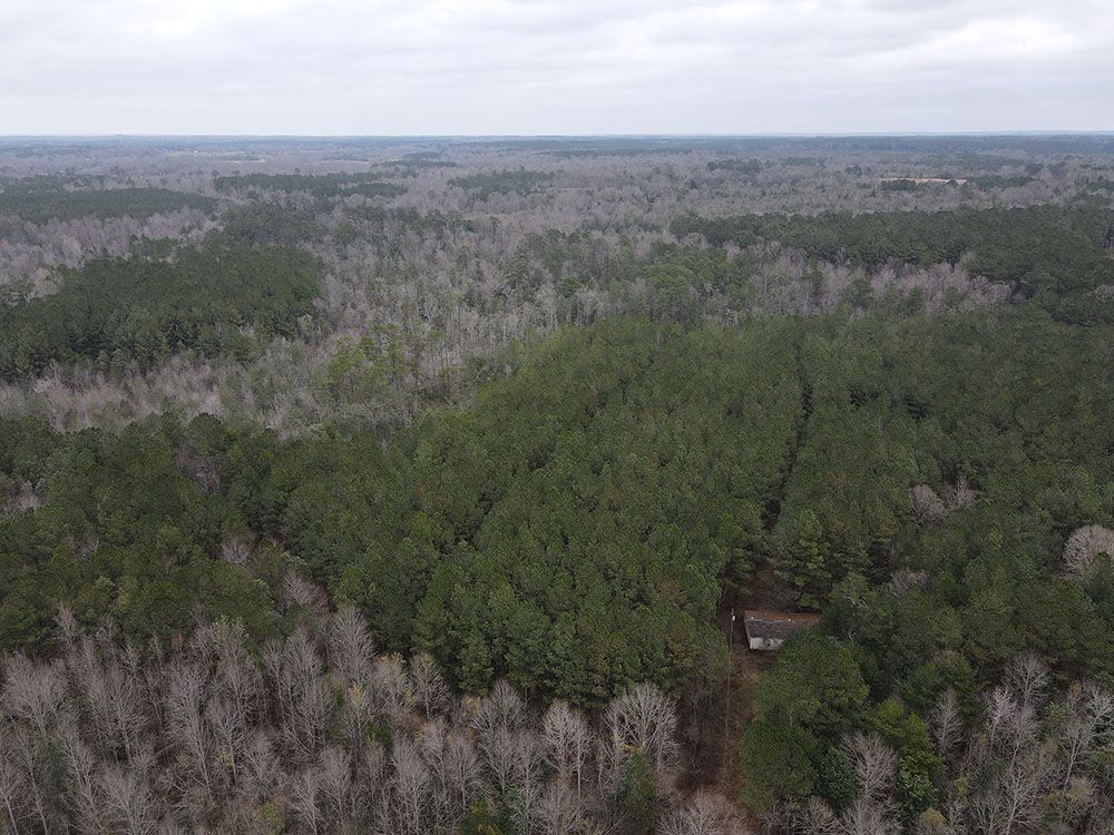 ± 96 Acres Jones County, MS Listing ID JO96 Walley Properties