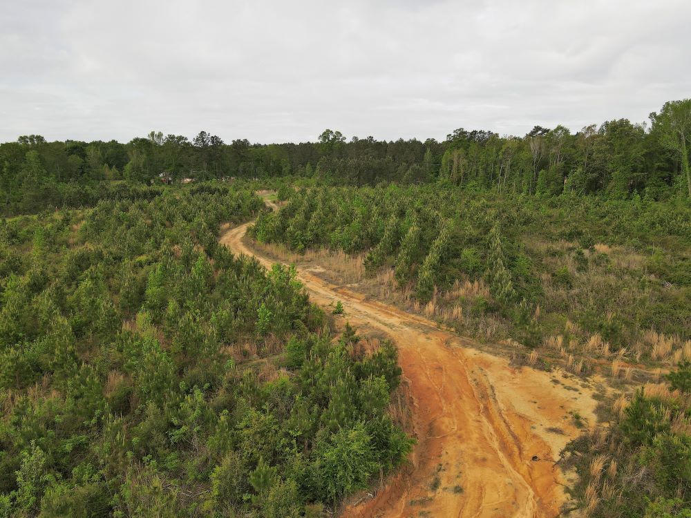 ±62 Acres in Perry County, MS Listing ID PE62 Walley Properties