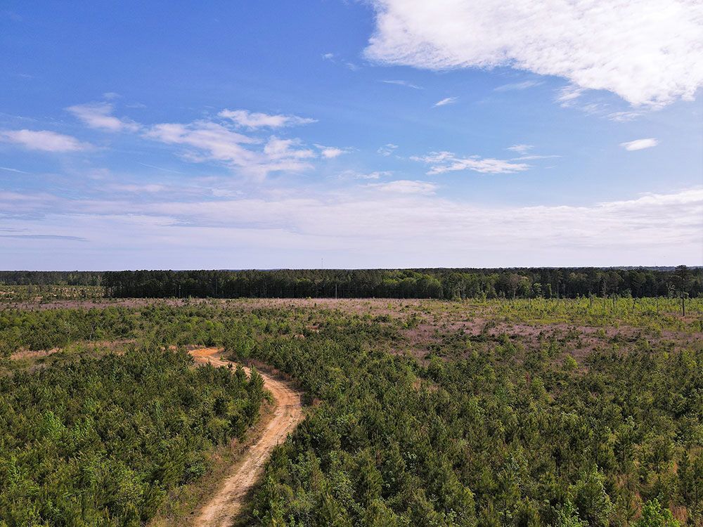 Perry PE Walley Properties & Forestry Properties in Mississippi