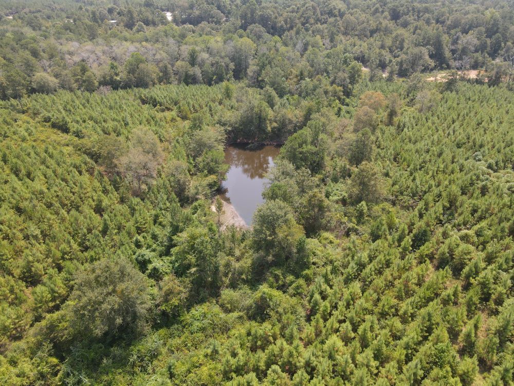 ± 37 Acres Jones County, MS Listing ID JO37 Walley Properties