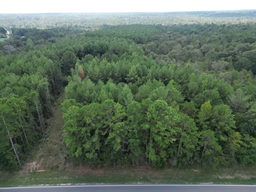 ± 31 Acres Jones County, MS Listing ID JO31 Walley Properties