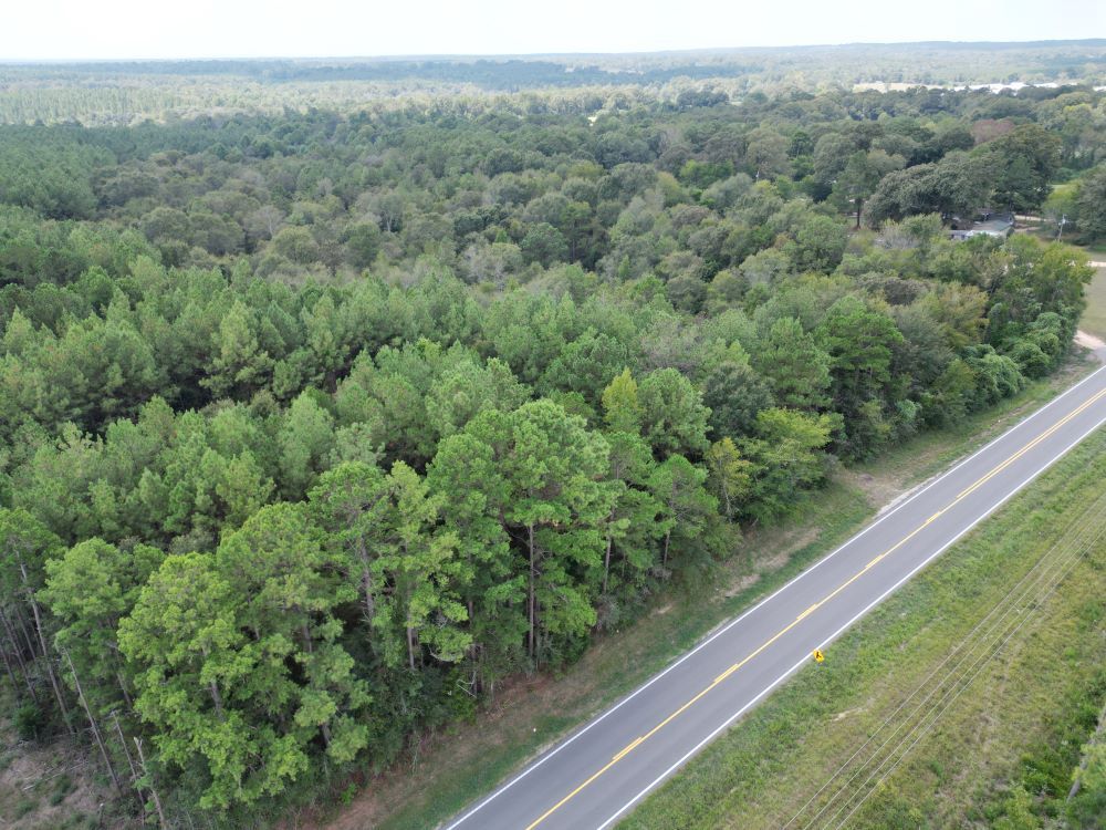 ± 31 Acres Jones County, MS Listing ID JO31 Walley Properties & Forestry Properties in