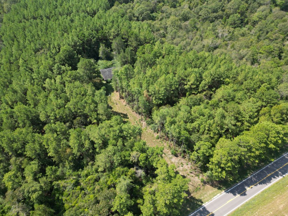 ± 31 Acres Jones County, MS Listing ID JO31 Walley Properties