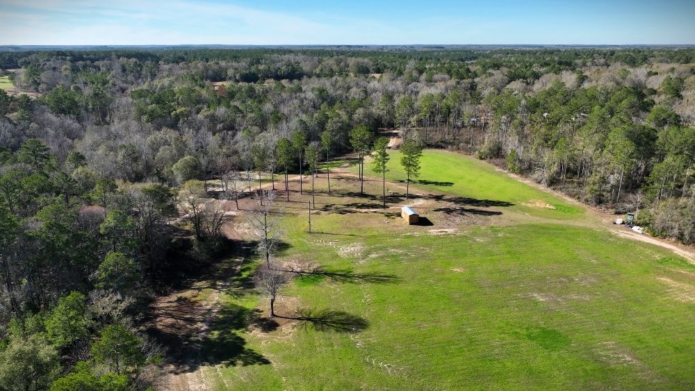 ± 24 Acres Marion County, MS Listing ID MA24 Walley Properties