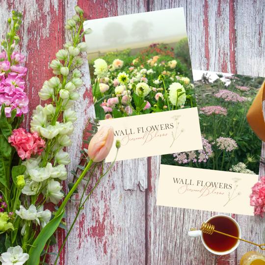 Wall Flowers Gift Vouchers Wall Flowers