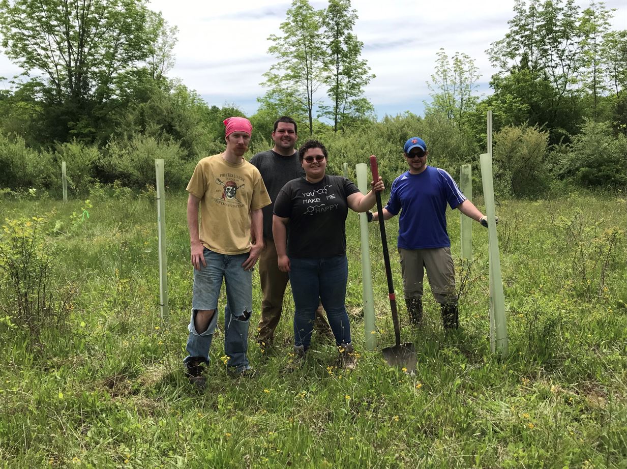 Restoration Continues at Wawayanda State Park
