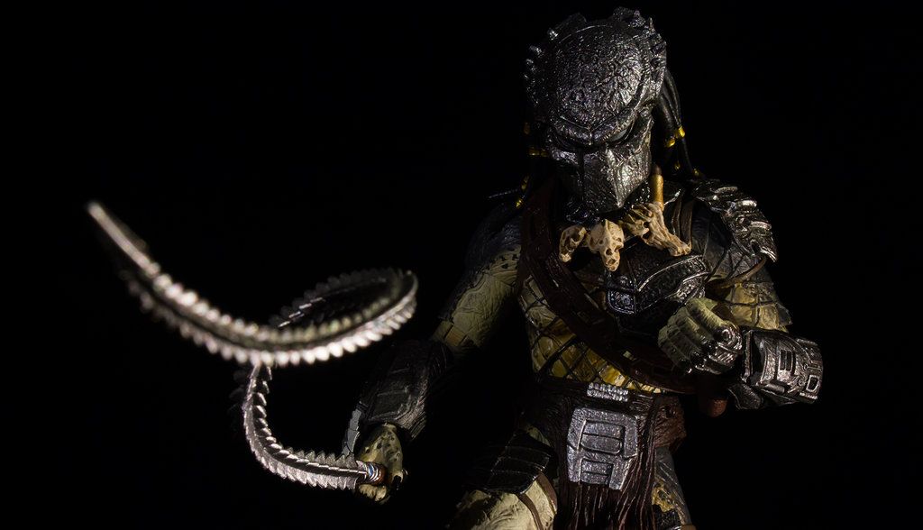 Gallery for wolf predator wallpaper