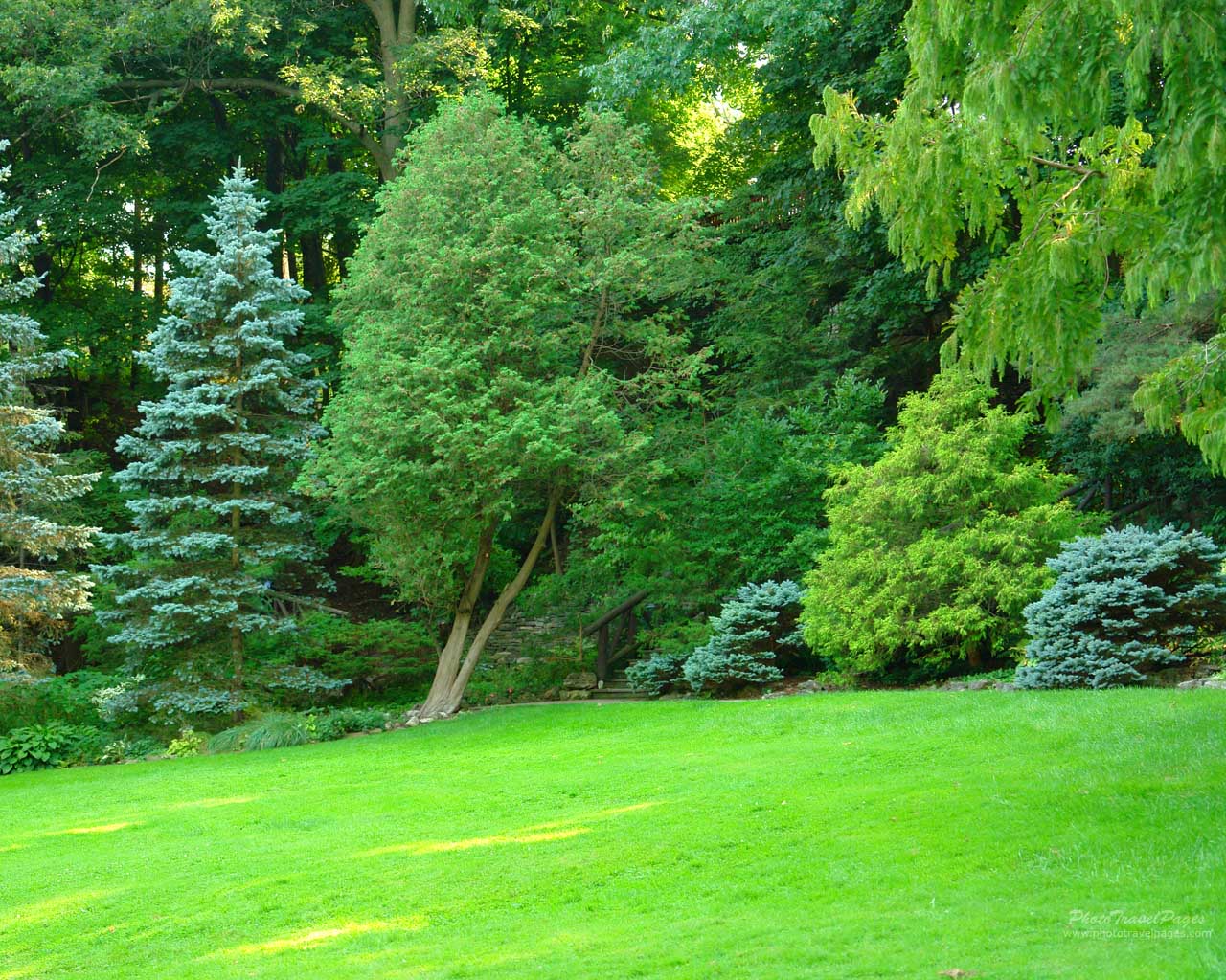 Green Garden Wallpapers Group (74+)