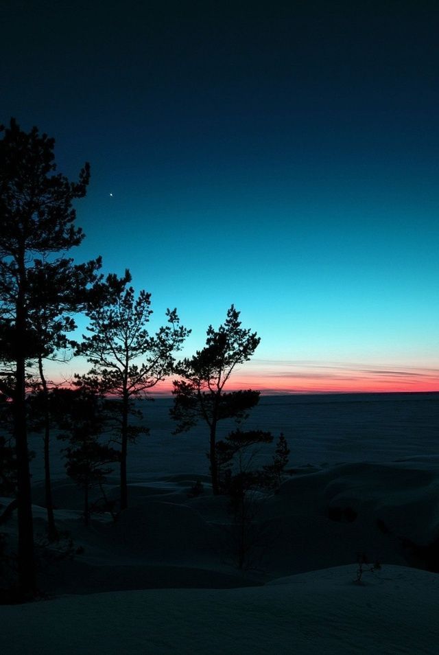 Background for mobile Tumblr