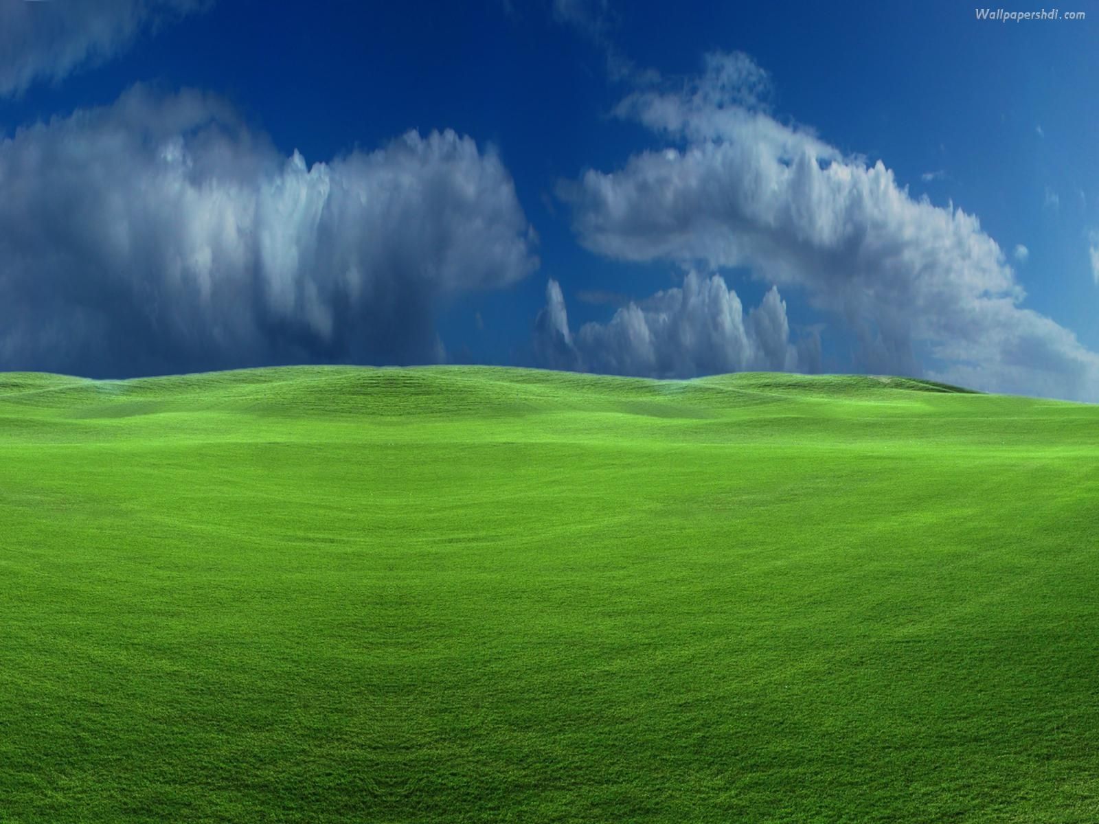 Windows Xp Wallpaper Hd Wallpaper 95216