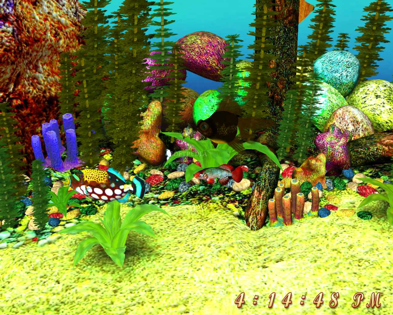 Aquarium Wallpapers Group 65