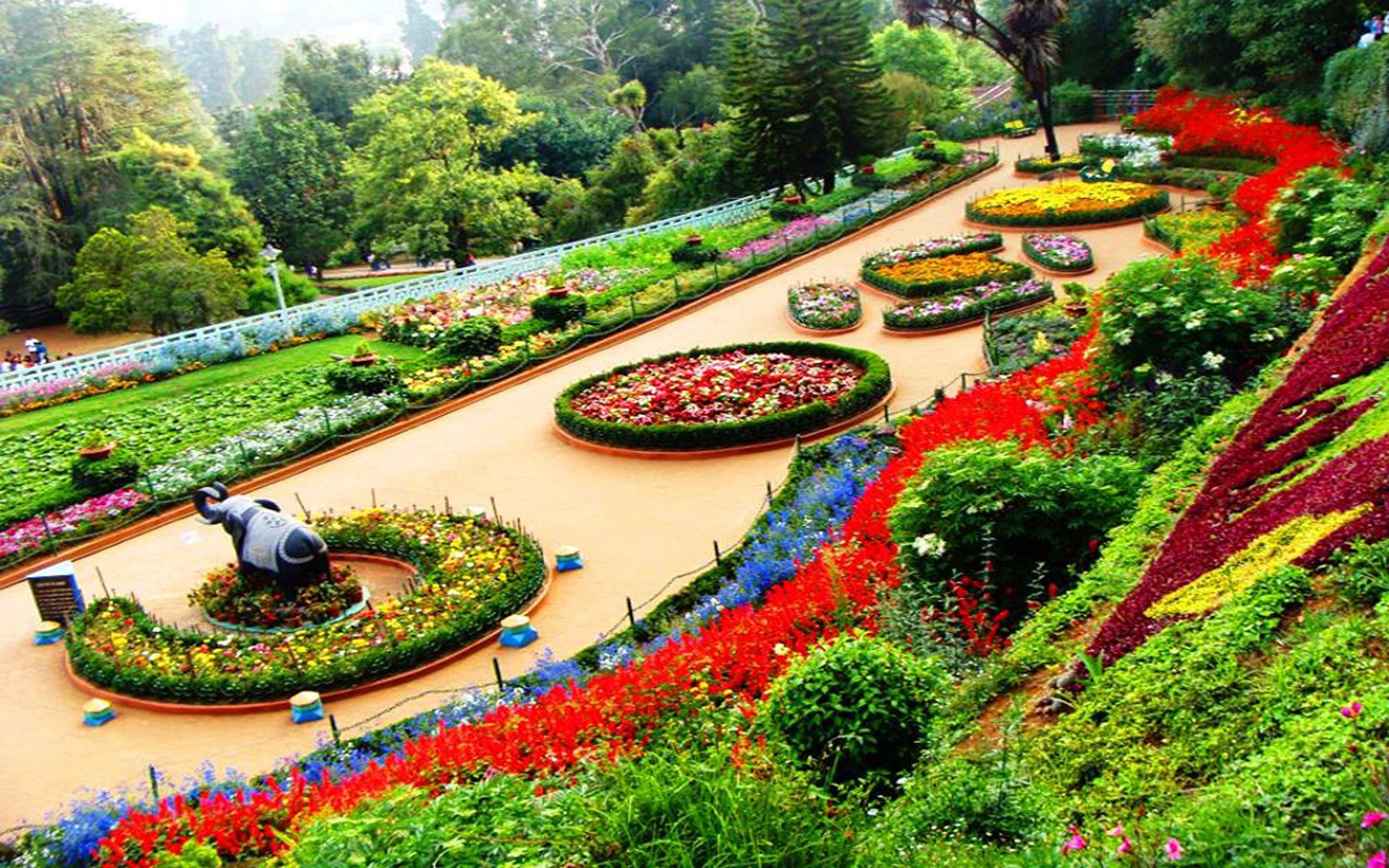 Botanical Gardens In Ooty (india) Wallpapers HD Desktop Backgrounds