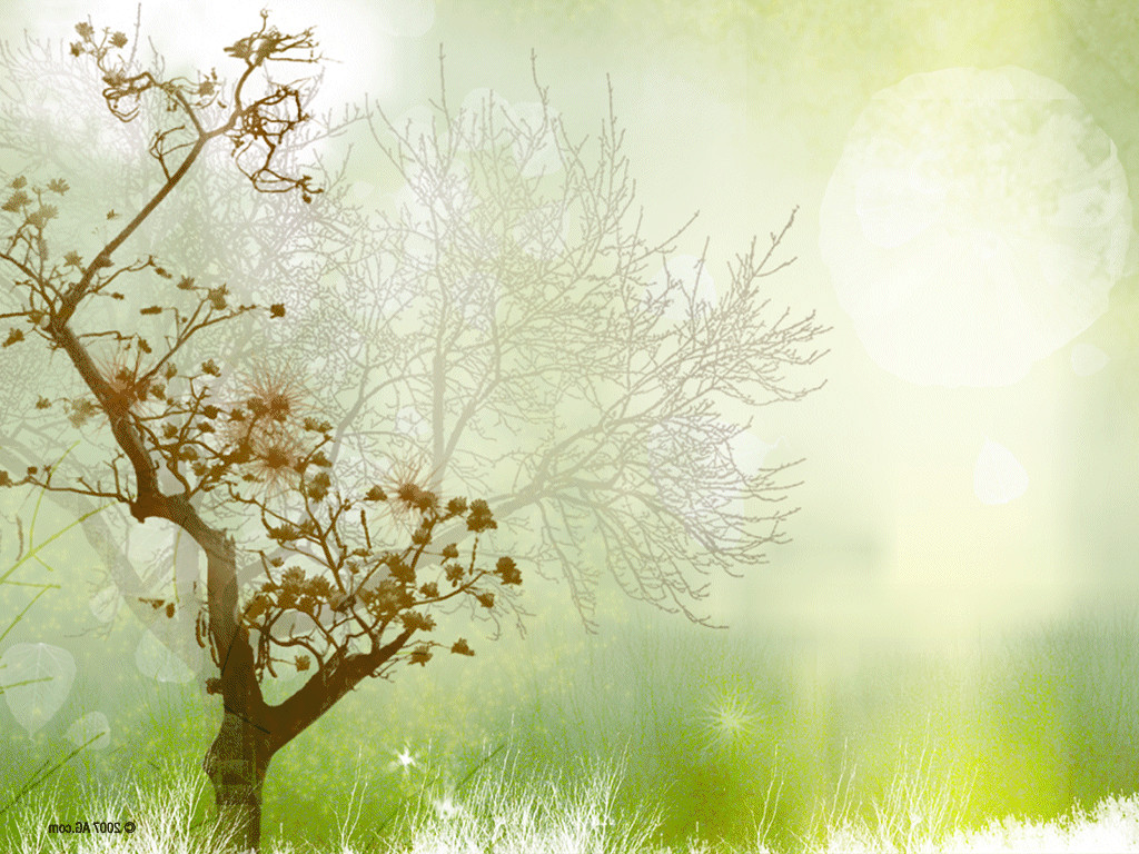 Lovely Backgrounds Wallpaper Cave