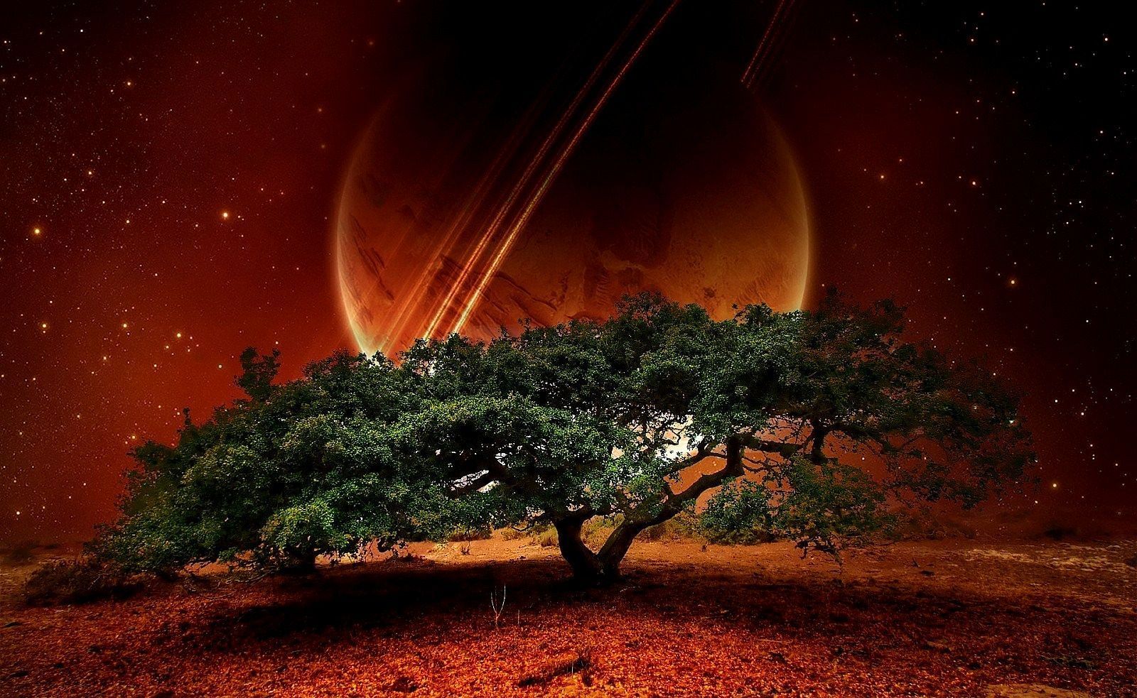 Top Ten Most Amazing Nature Wallpaper Share your Moments with