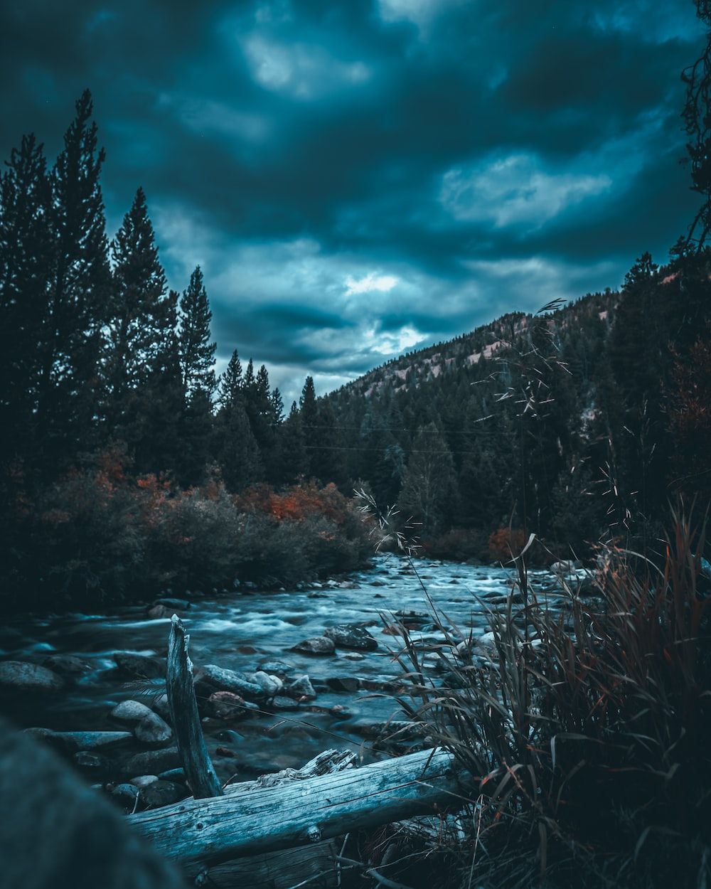 Dark Nature 4K Wallpapers Top Free Dark Nature 4K Backgrounds