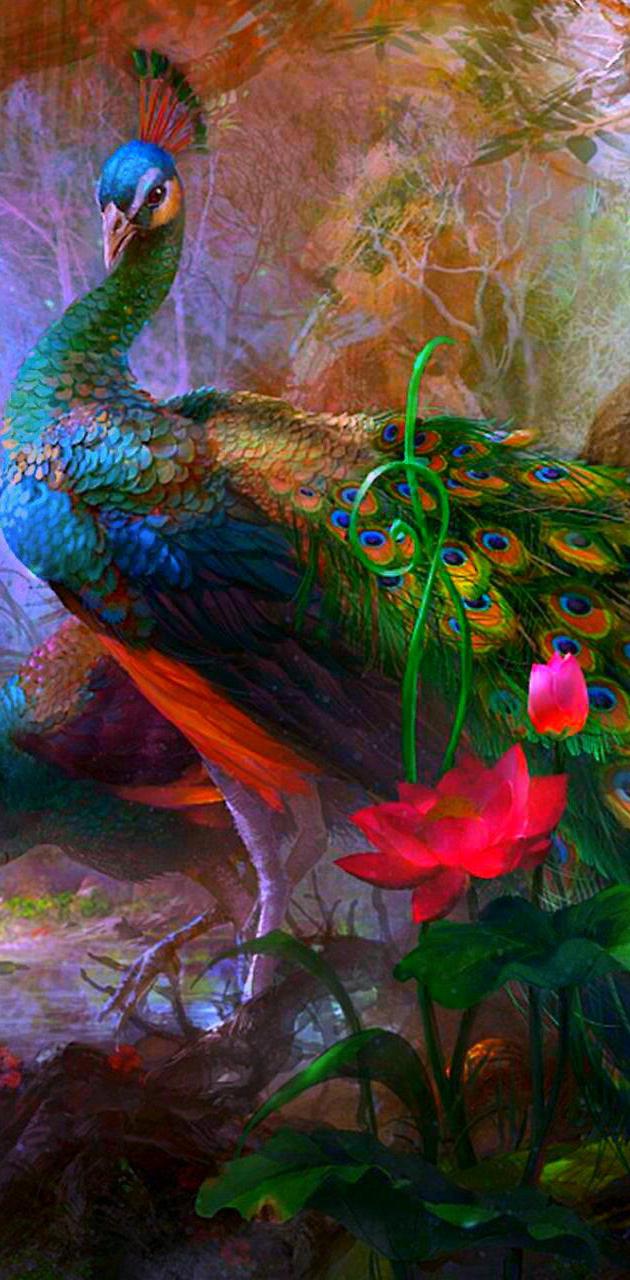 Peacock Painting Wallpapers Top Free Peacock Painting Backgrounds