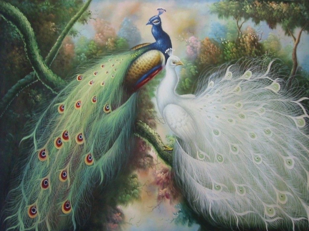 Peacock Painting Wallpapers Top Free Peacock Painting Backgrounds