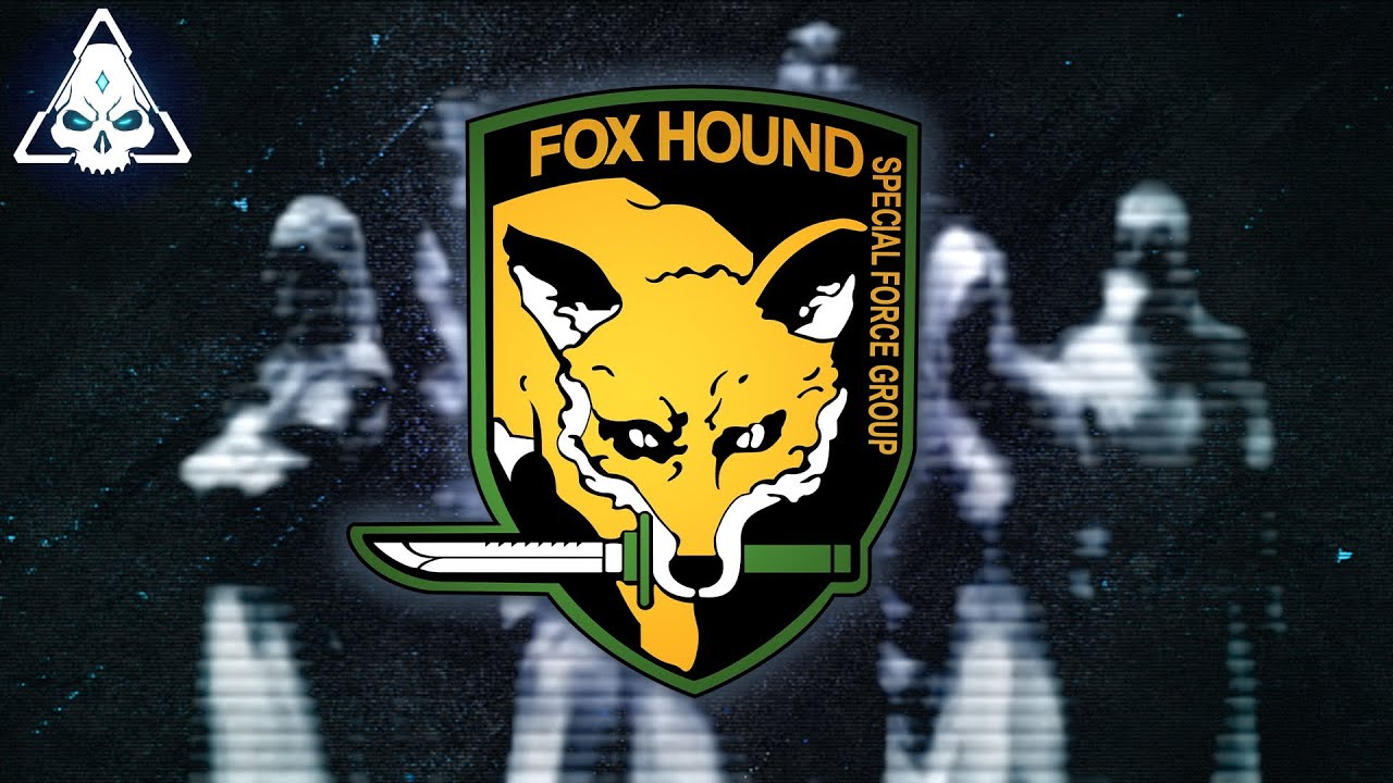 Foxhound Wallpapers Top Free Foxhound Backgrounds WallpaperAccess