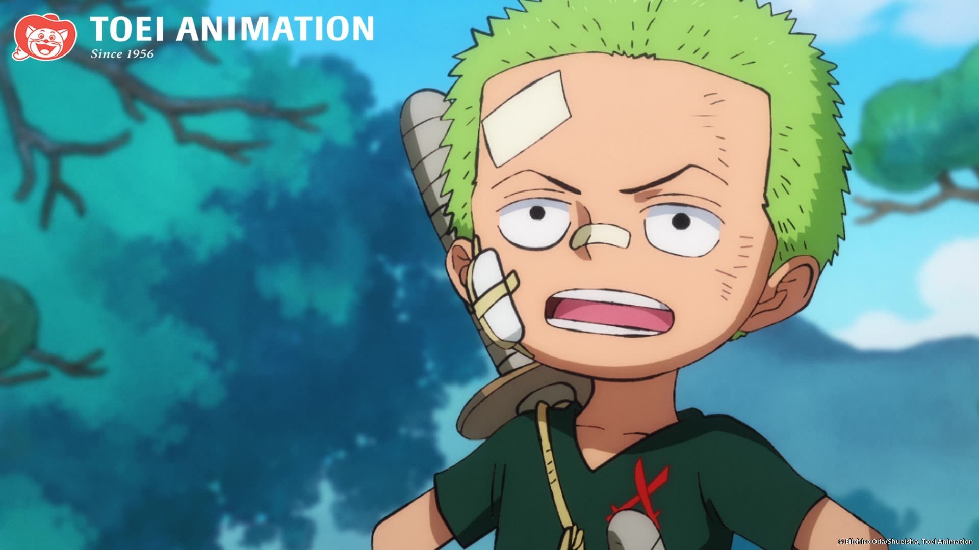 Kid Zoro Wallpapers Top Free Kid Zoro Backgrounds WallpaperAccess