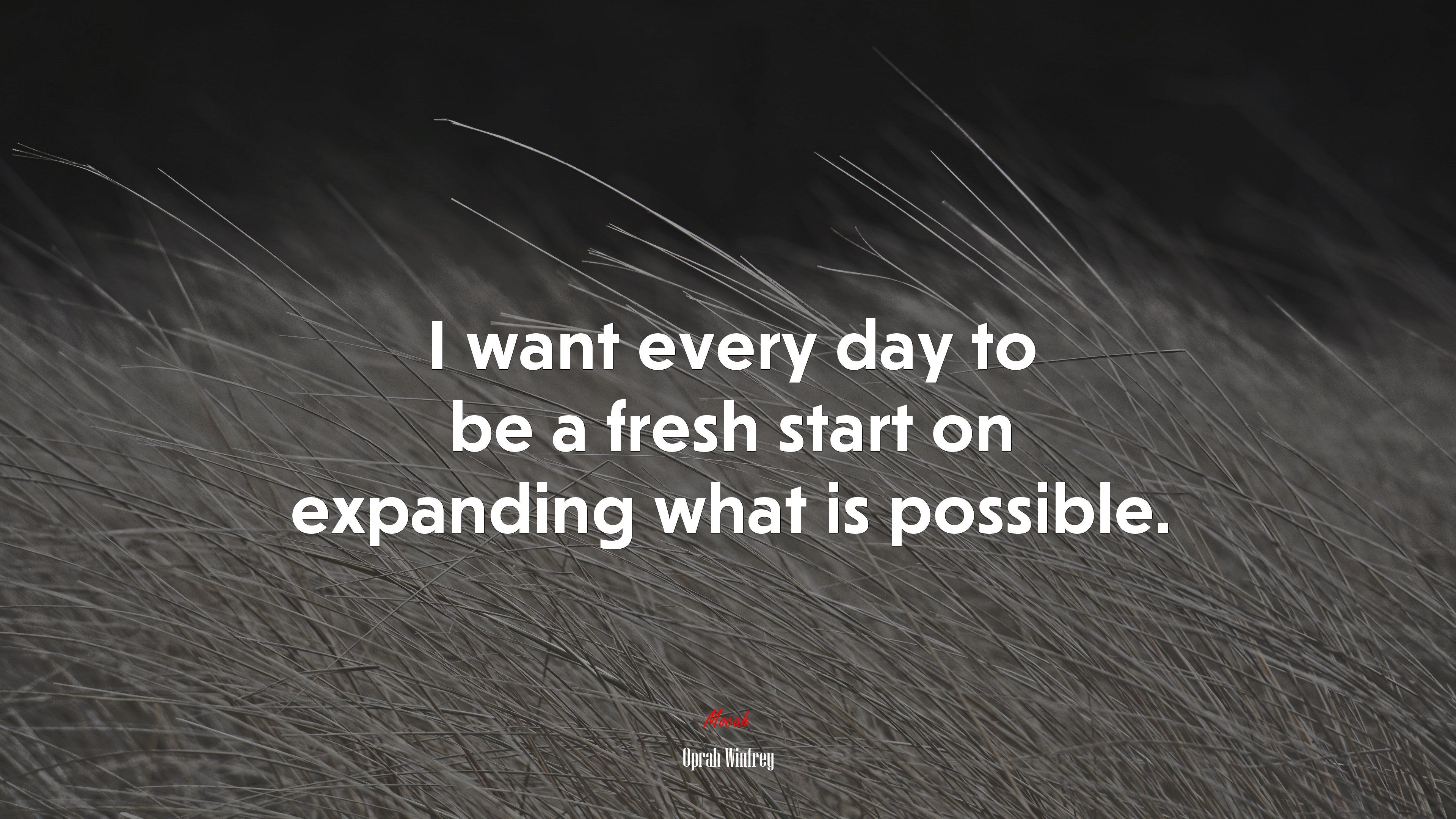 Everyday Is A Fresh Start Wallpapers Top Free Everyday Is A Fresh