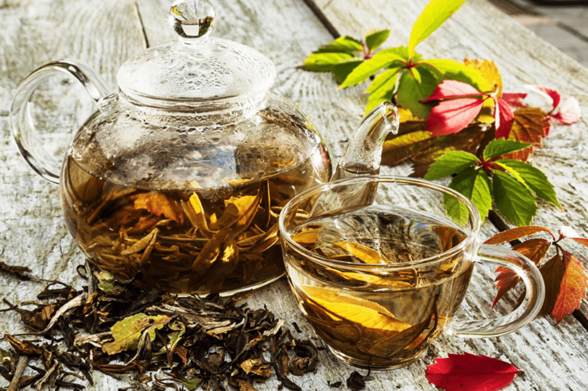Herbal Tea Wallpapers Top Free Herbal Tea Backgrounds WallpaperAccess