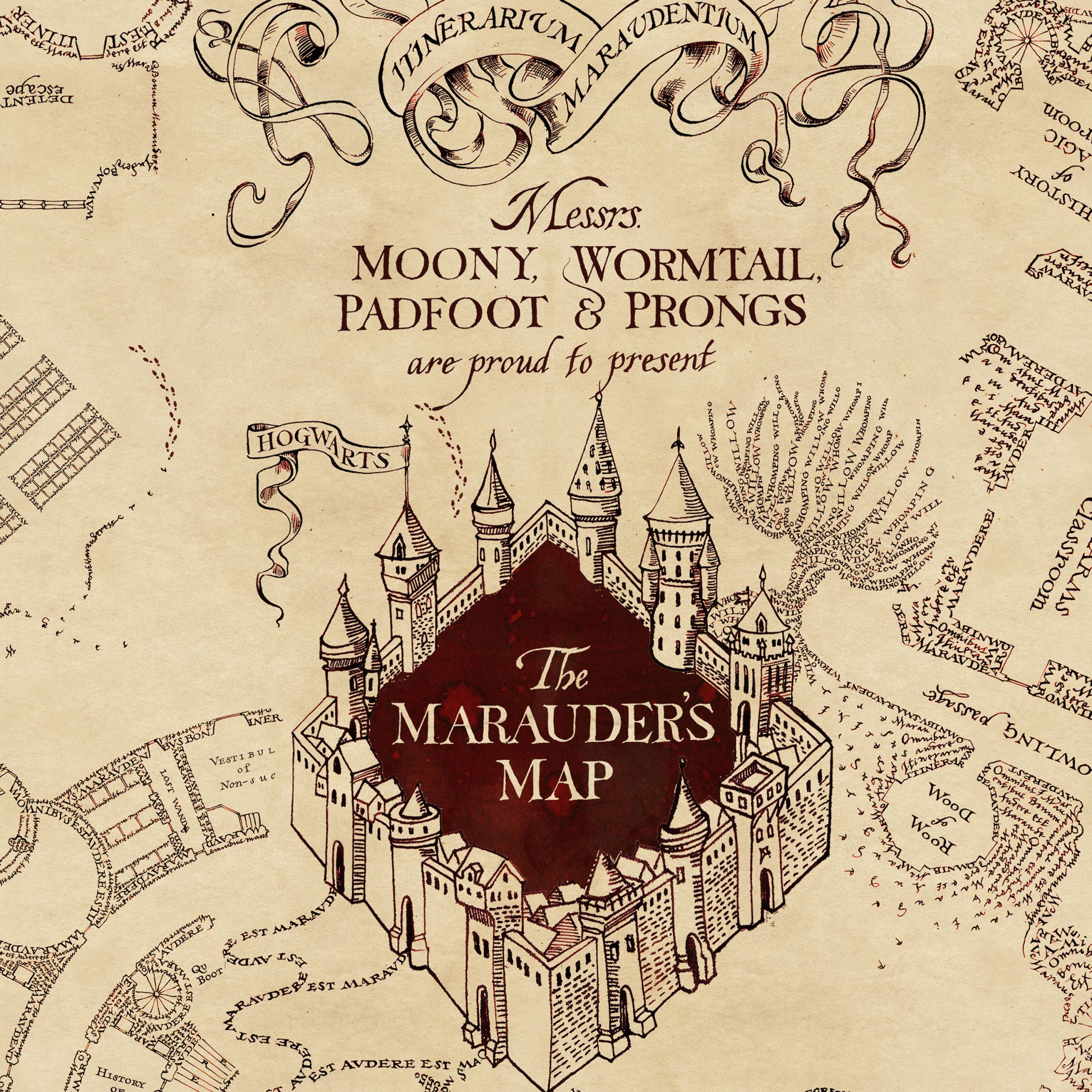 Hogwarts Map Wallpapers - Top Free Hogwarts Map Backgrounds