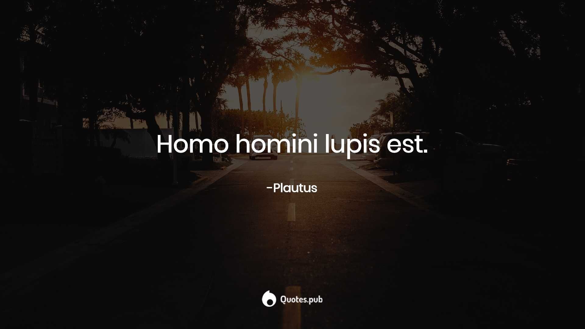 Latin Quotes Wallpapers Top Free Latin Quotes Backgrounds