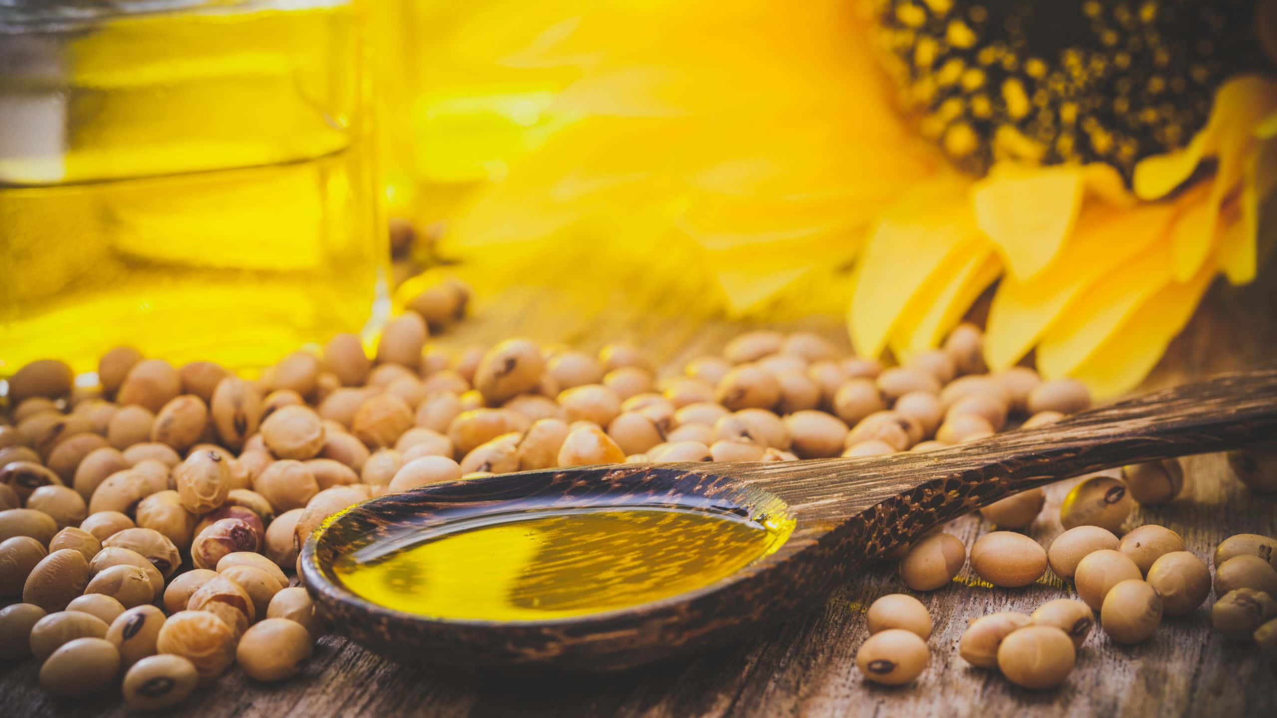 Cooking Oil Wallpapers Top Free Cooking Oil Backgrounds WallpaperAccess