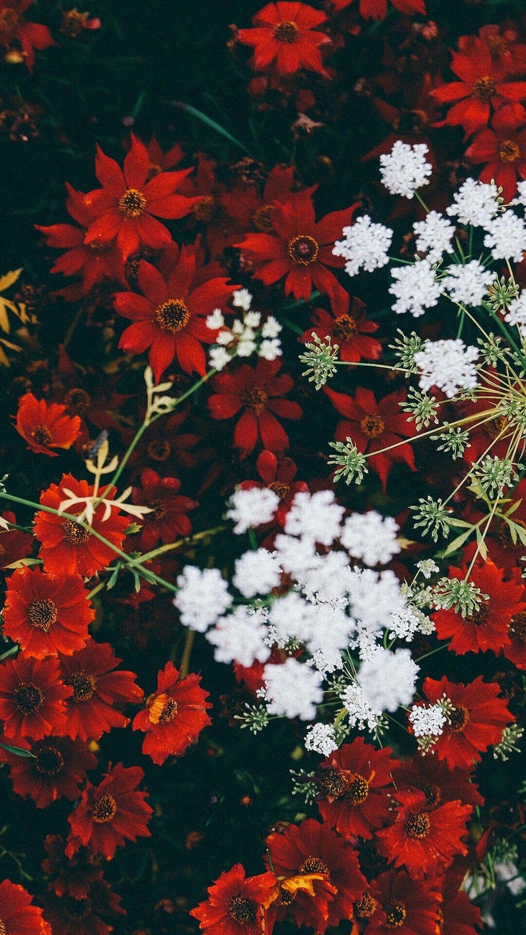 Dope Floral Wallpapers Top Free Dope Floral Backgrounds WallpaperAccess