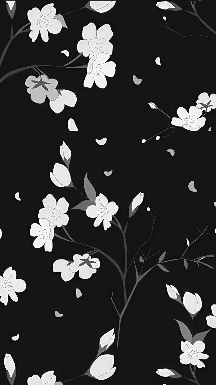 Black and White Sakura Wallpapers Top Free Black and White Sakura