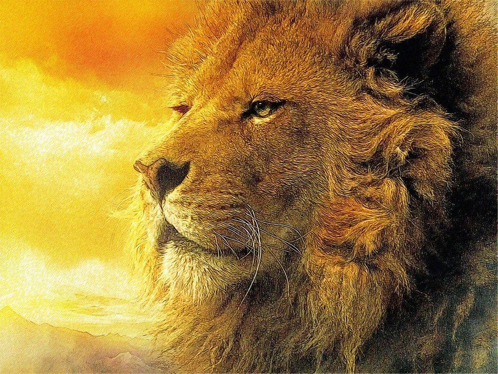 Epic Lion Wallpapers Top Free Epic Lion Backgrounds WallpaperAccess