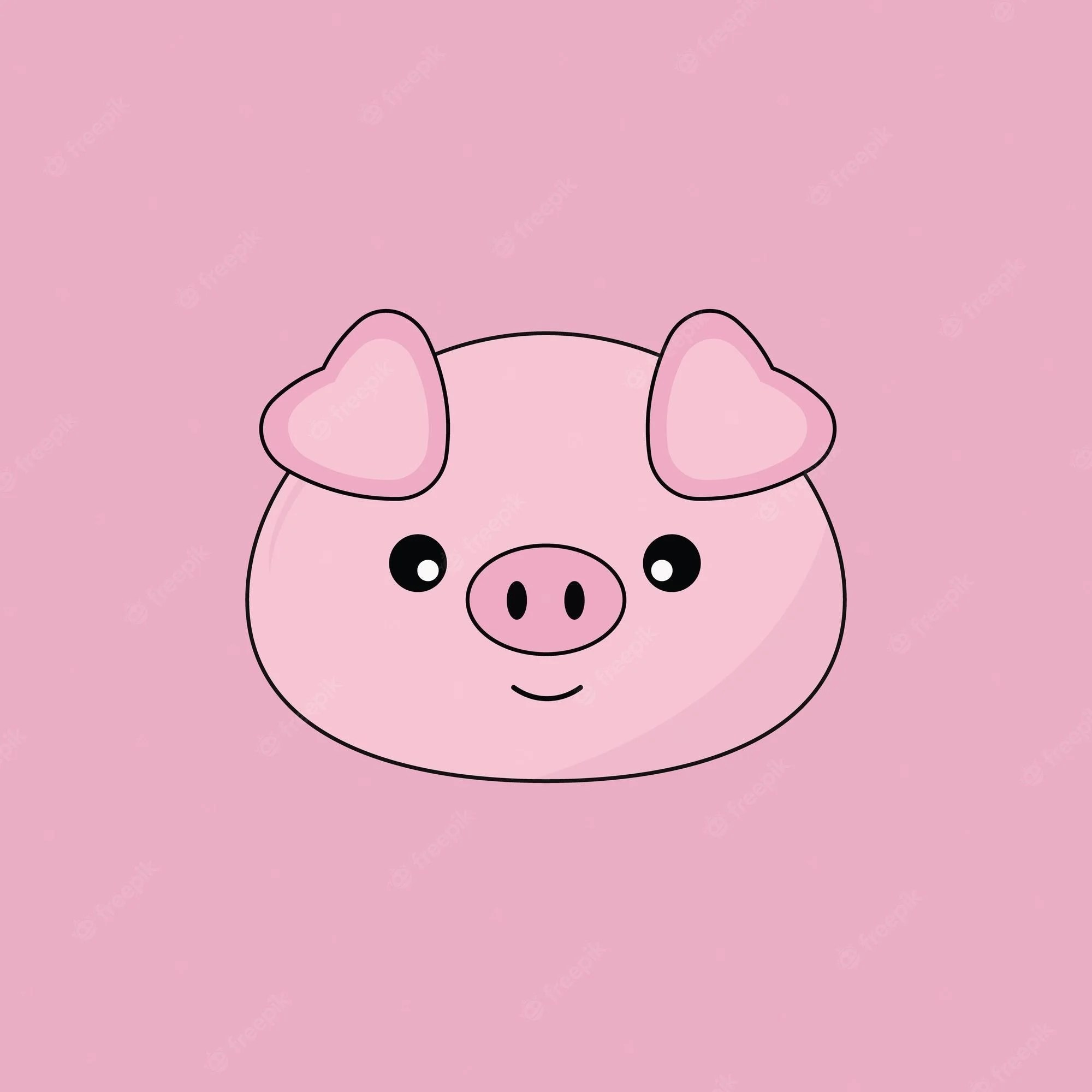Pink Pig Wallpapers Top Free Pink Pig Backgrounds WallpaperAccess
