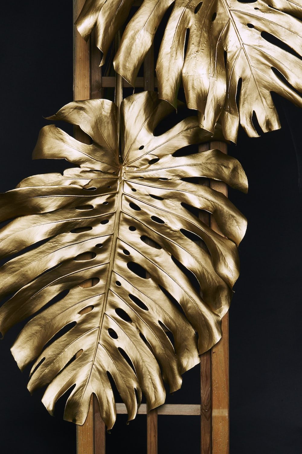 Golden Leaves Wallpapers Top Free Golden Leaves Backgrounds