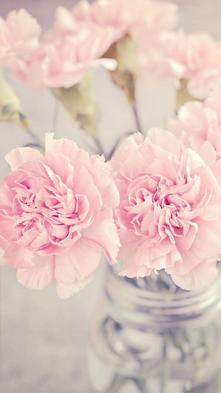Peony Wallpapers Top Free Peony Backgrounds WallpaperAccess