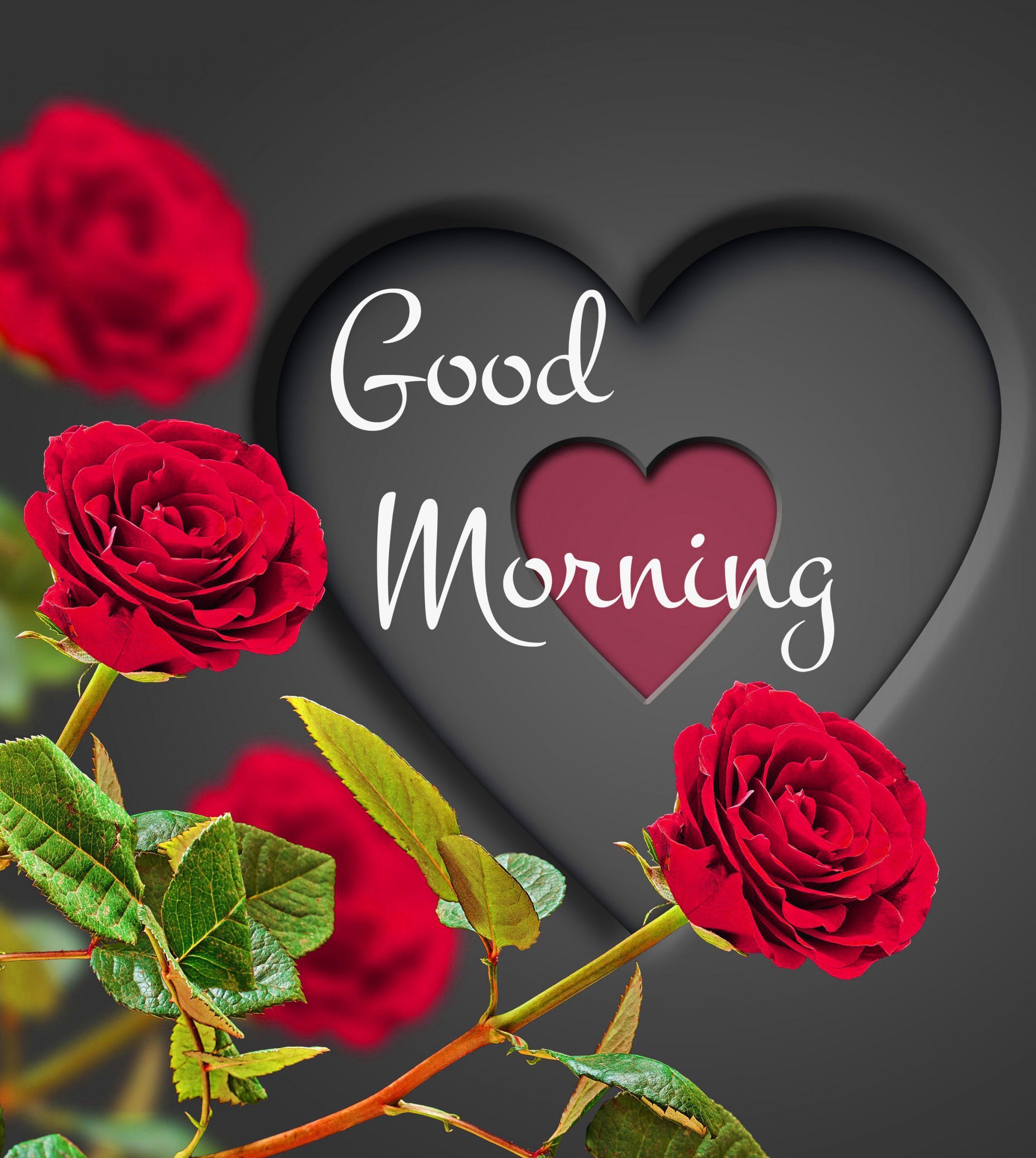 Good Morning Love Wallpapers Top Free Good Morning Love Backgrounds