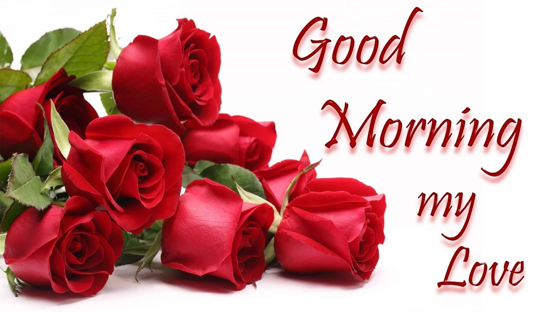 Good Morning Love Wallpapers Top Free Good Morning Love Backgrounds