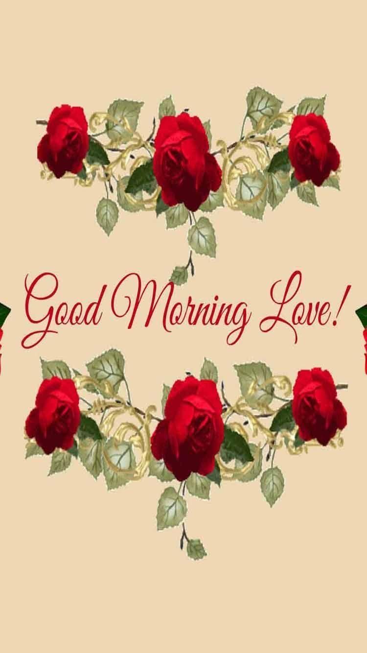 Good Morning Love Wallpapers Top Free Good Morning Love Backgrounds