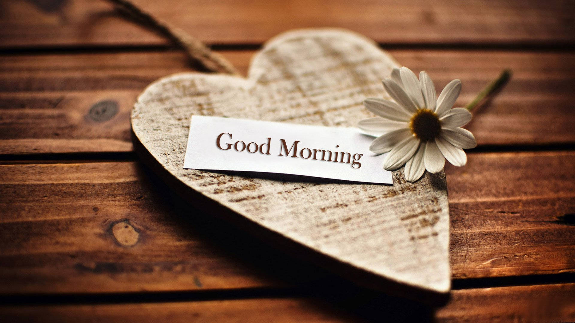 Good Morning Love Wallpapers Top Free Good Morning Love Backgrounds