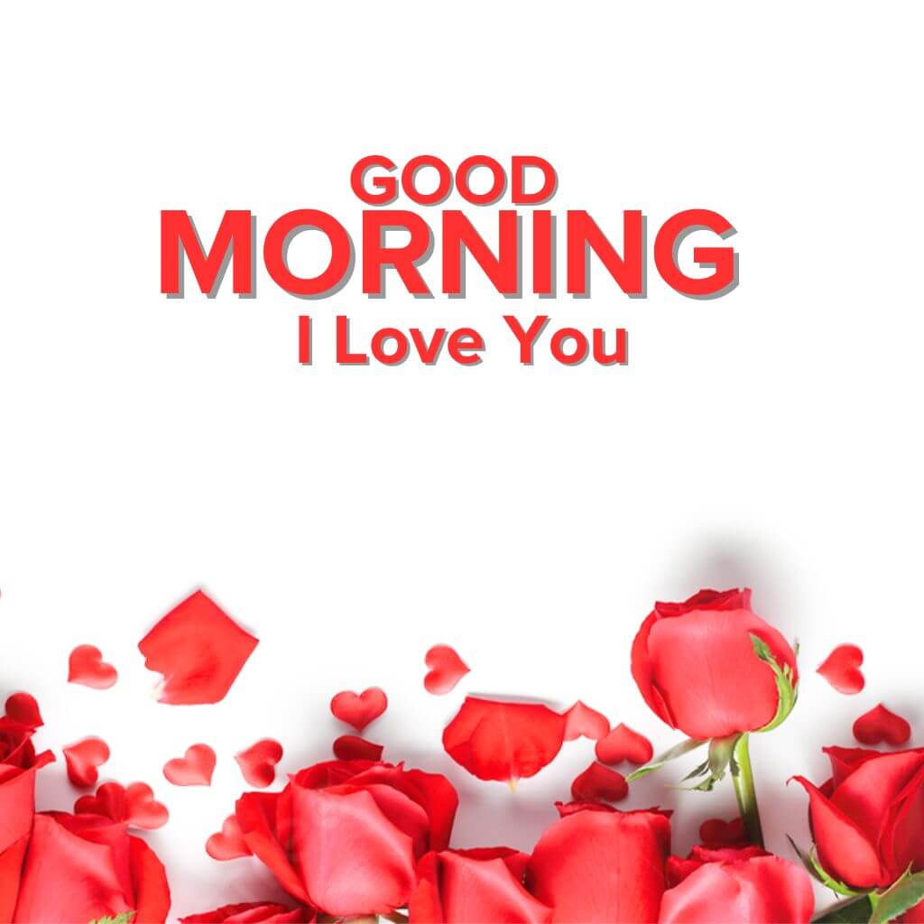 Good Morning Love Wallpapers Top Free Good Morning Love Backgrounds