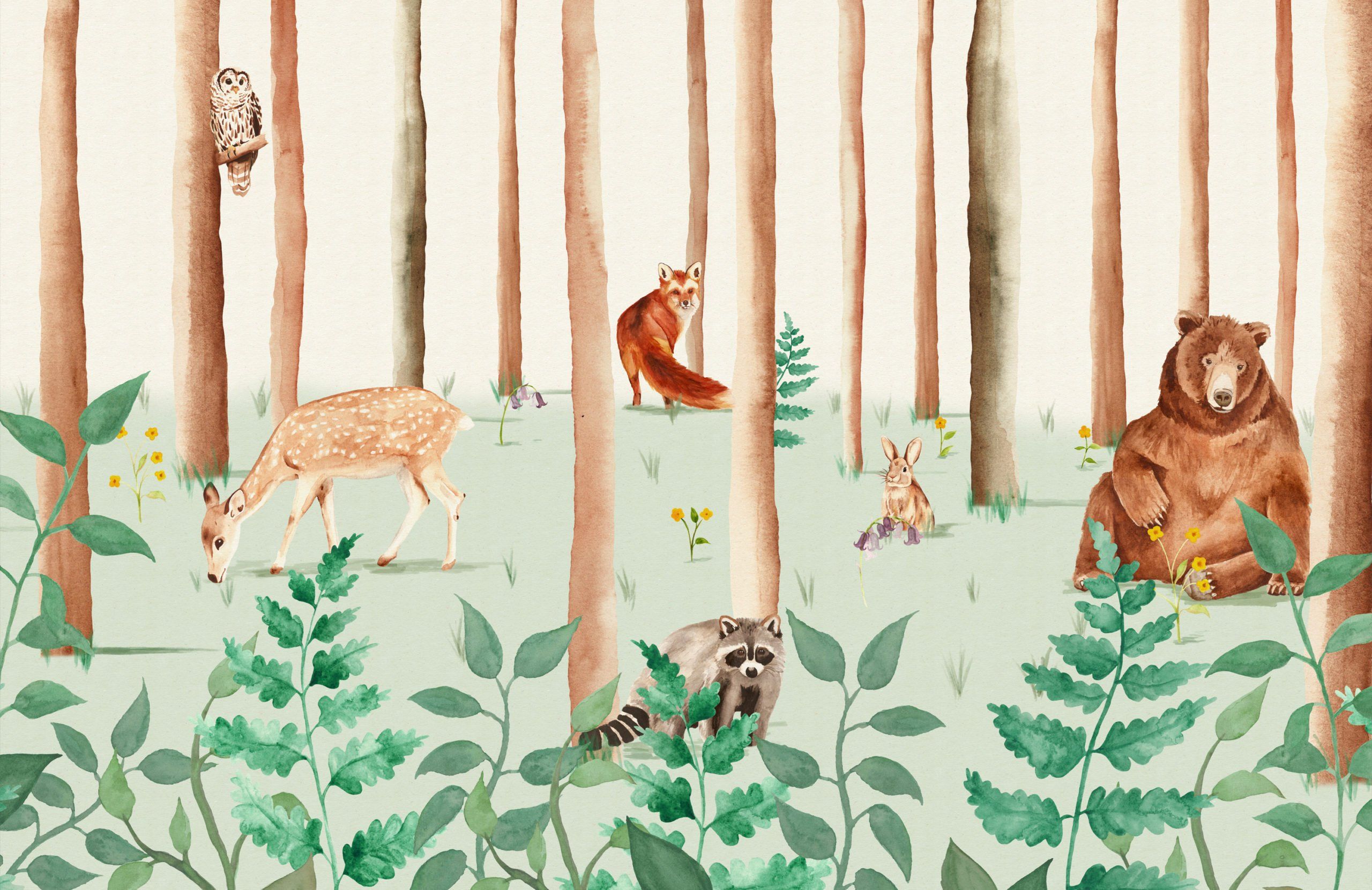 Woodland Animals Wallpapers Top Free Woodland Animals Backgrounds
