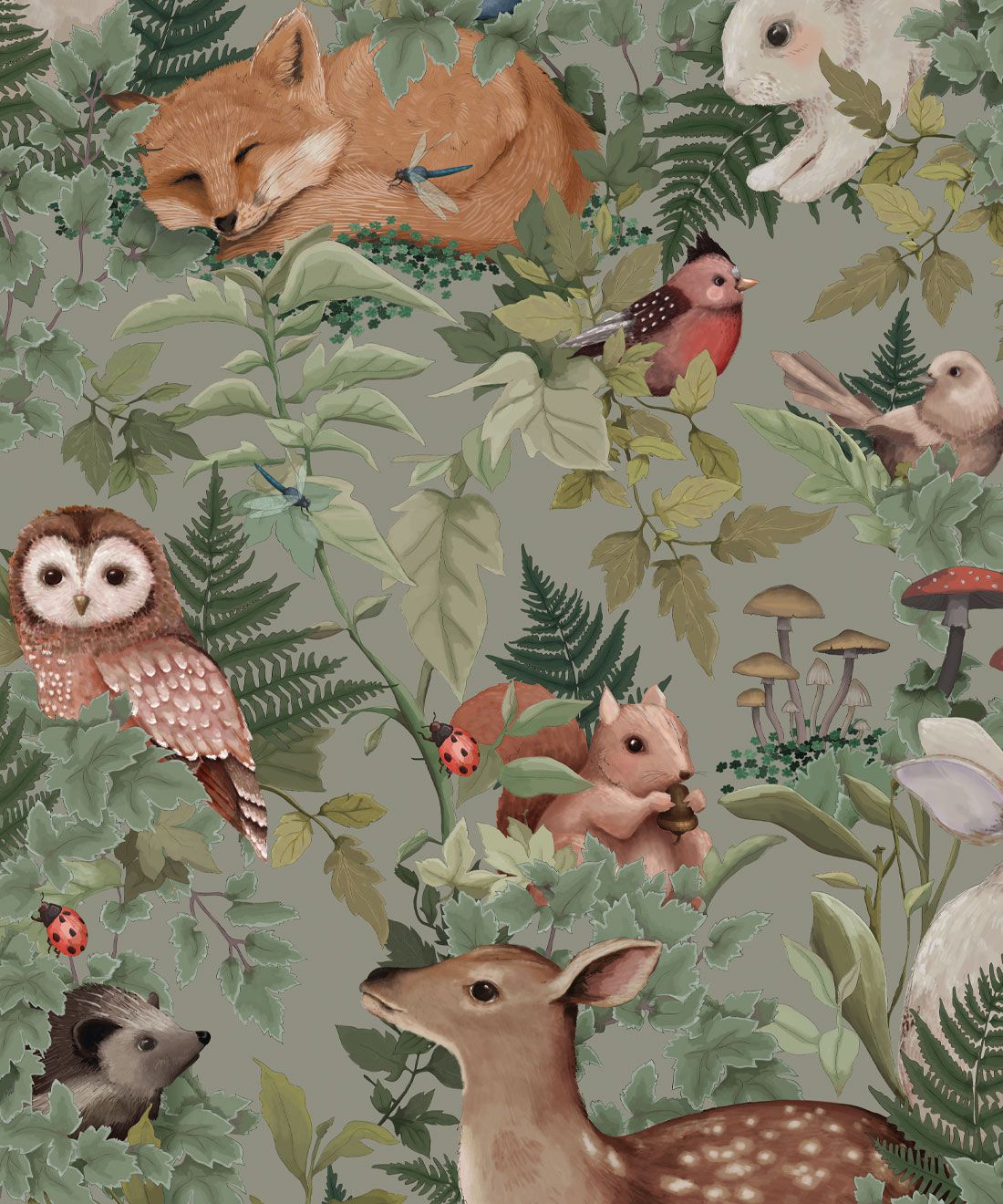 Woodland Animals Wallpapers Top Free Woodland Animals Backgrounds