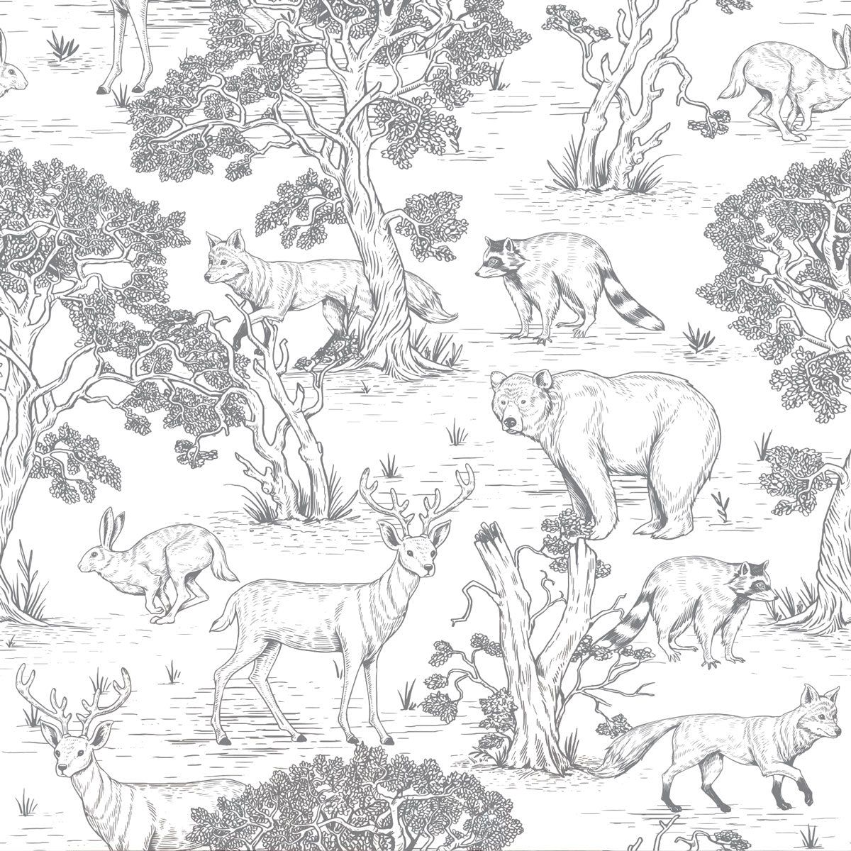 Woodland Animals Wallpapers Top Free Woodland Animals Backgrounds