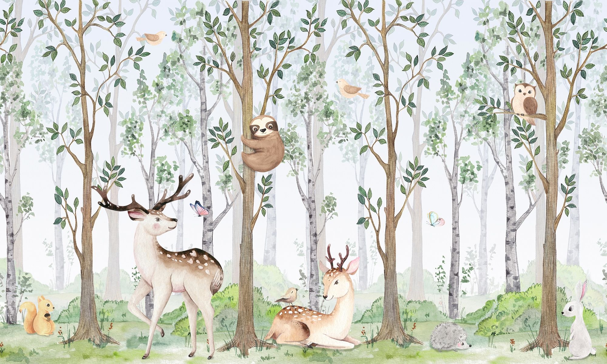 Woodland Animals Wallpapers Top Free Woodland Animals Backgrounds