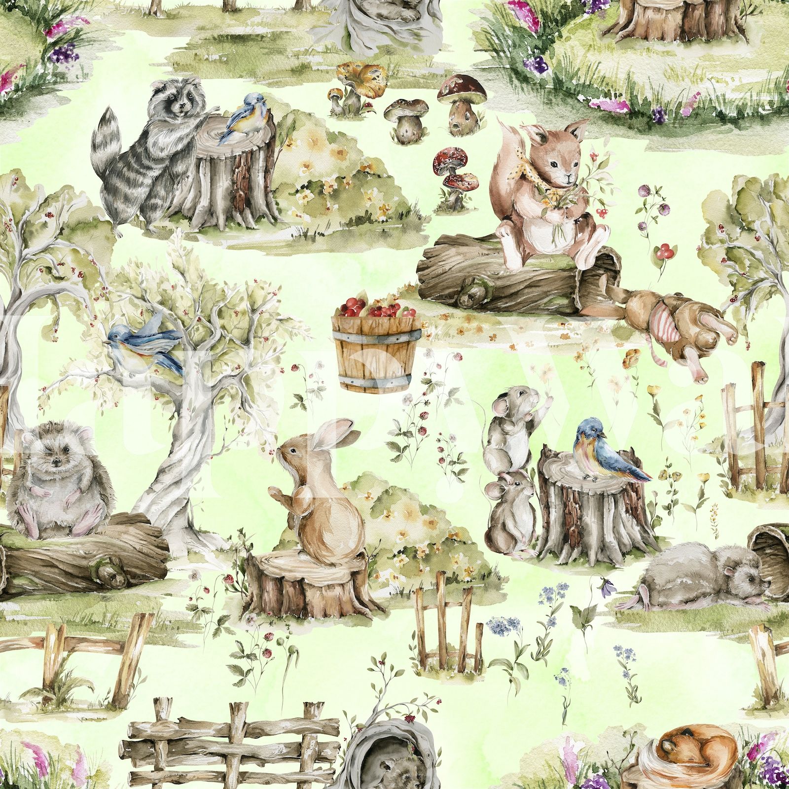 Woodland Animals Wallpapers Top Free Woodland Animals Backgrounds