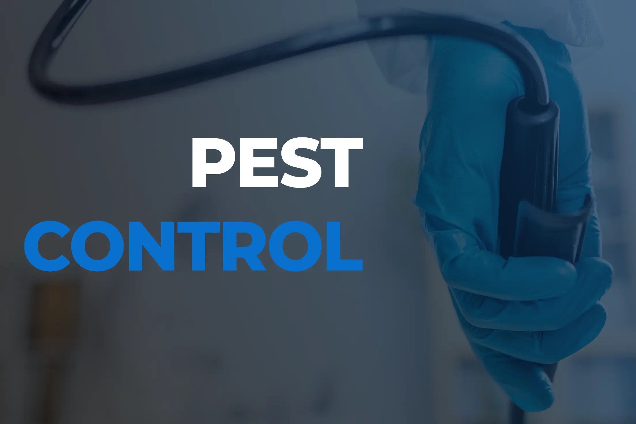 Pest Control Wallpapers Top Free Pest Control Backgrounds WallpaperAccess