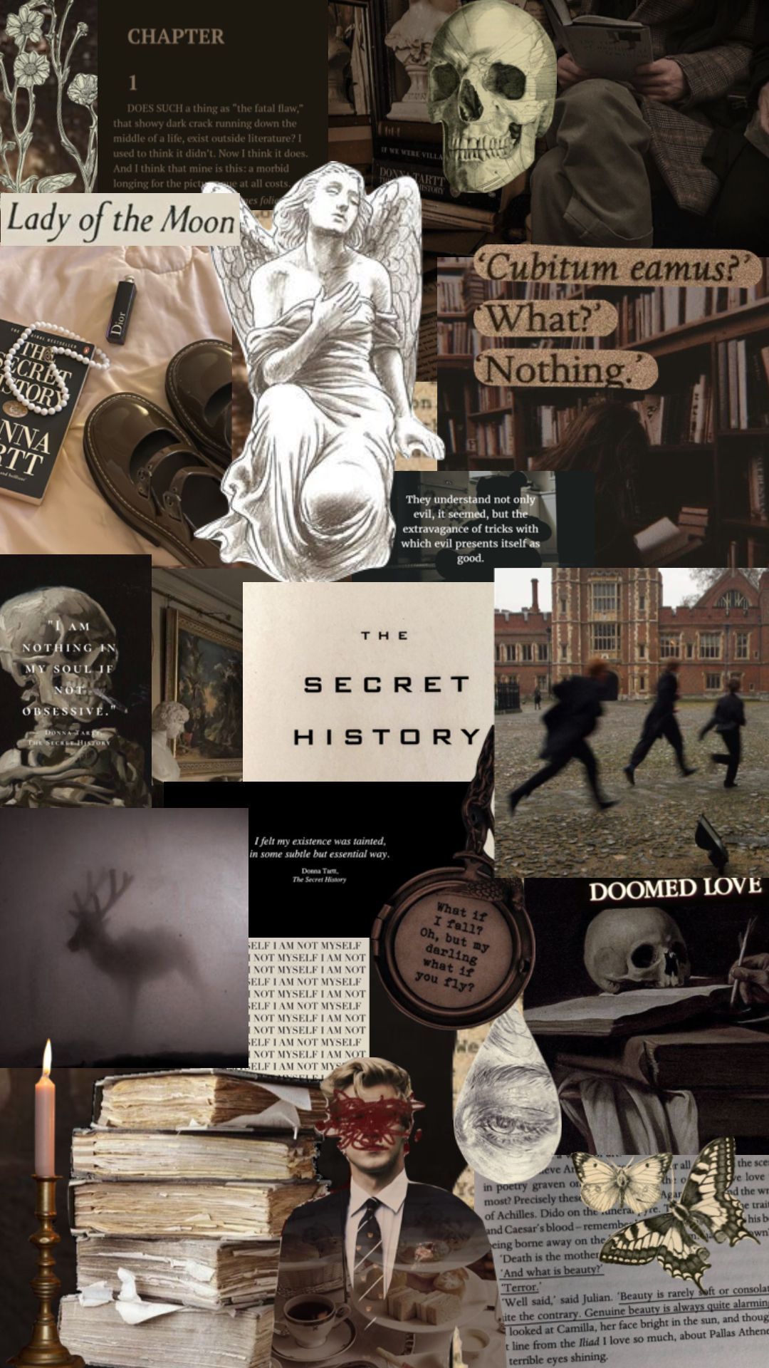 The Secret History Wallpapers Top Free The Secret History Backgrounds