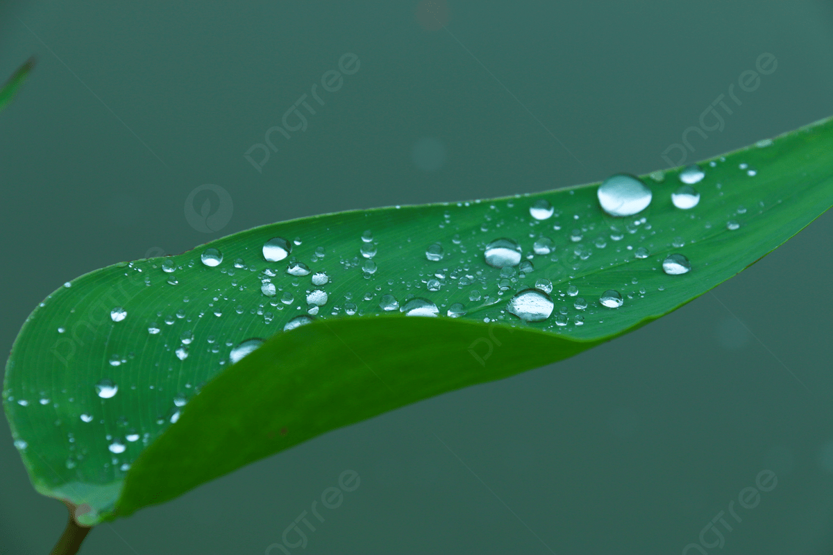 Eye Protection Wallpapers Top Free Eye Protection Backgrounds