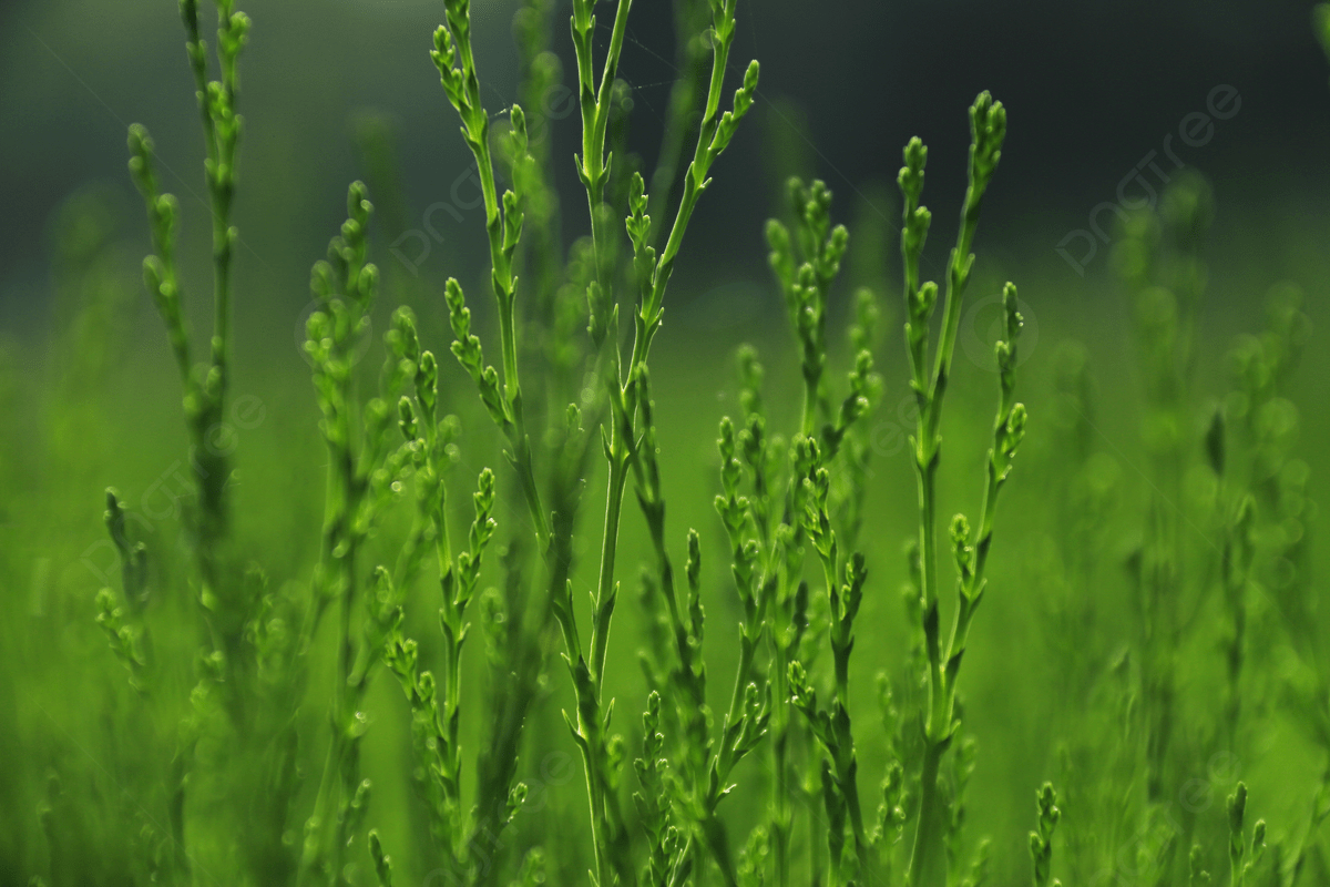 Eye Protection Wallpapers Top Free Eye Protection Backgrounds