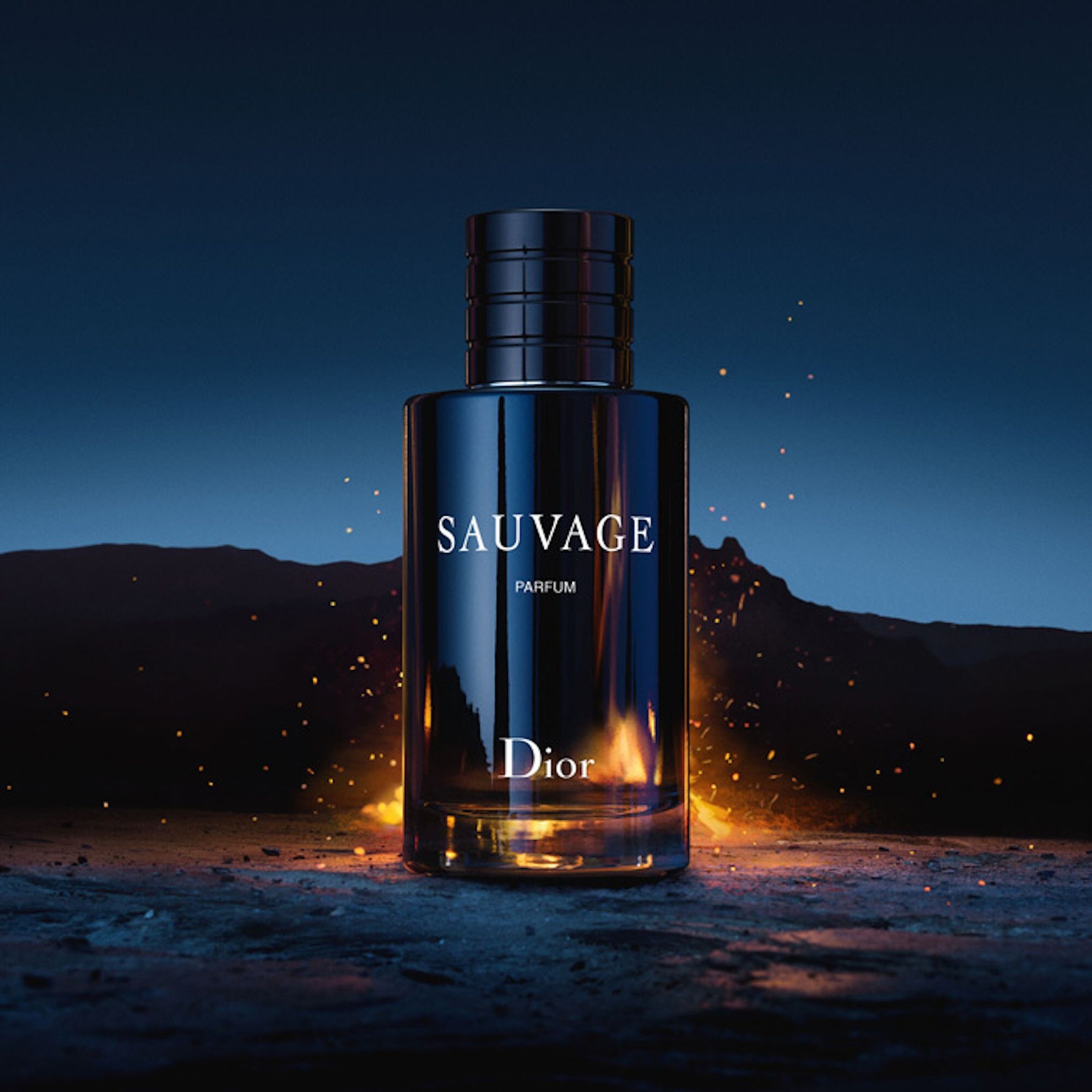 Sauvage Wallpapers Top Free Sauvage Backgrounds WallpaperAccess